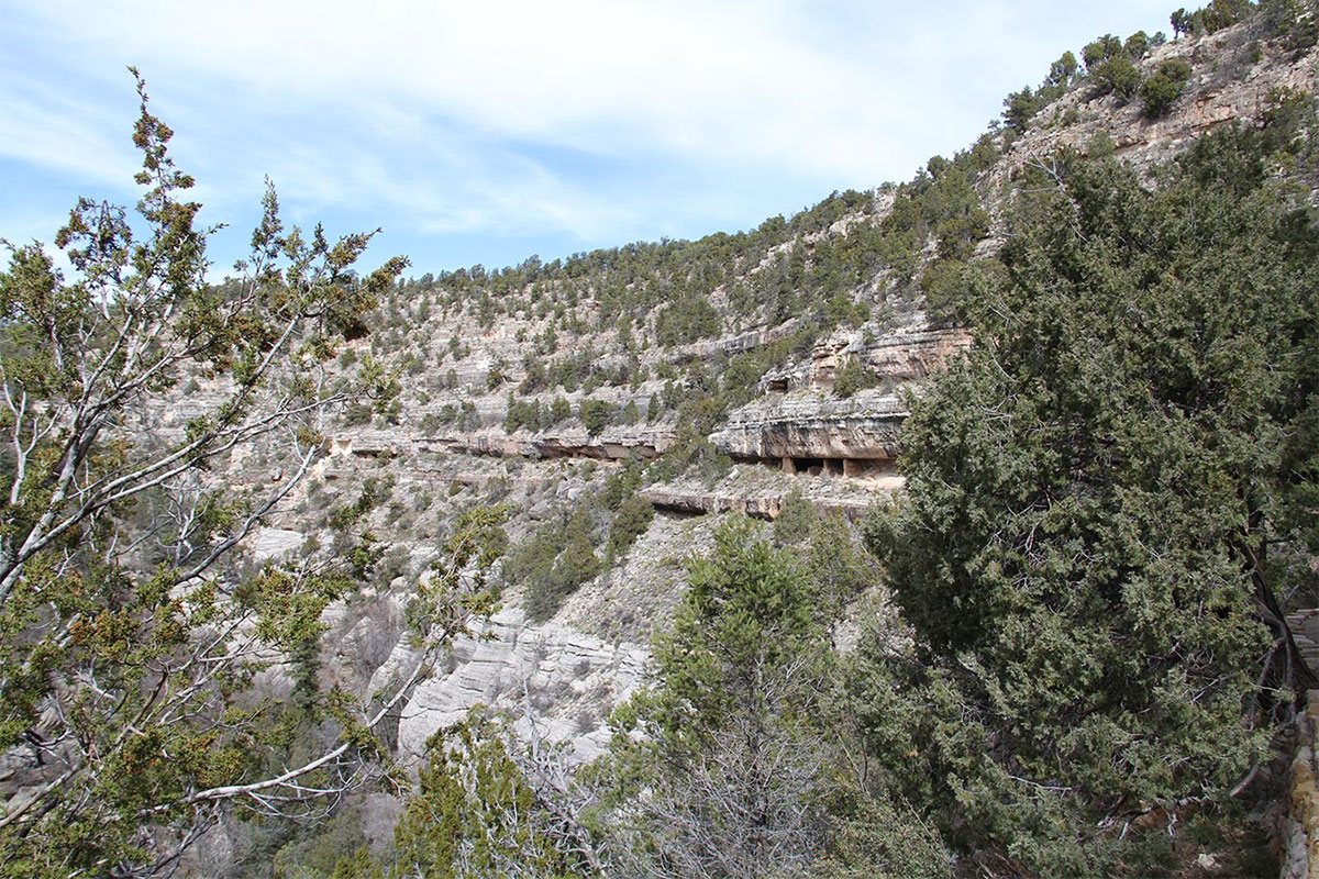 Viviendas en acantilado metidas bajo una repisa de caliza en la pared boscosa de Walnut Canyon